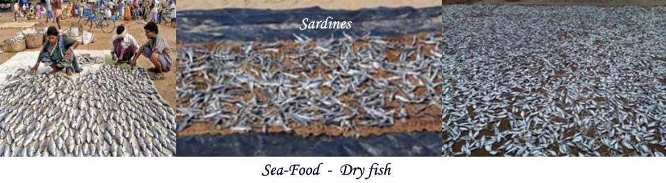Sea-Food